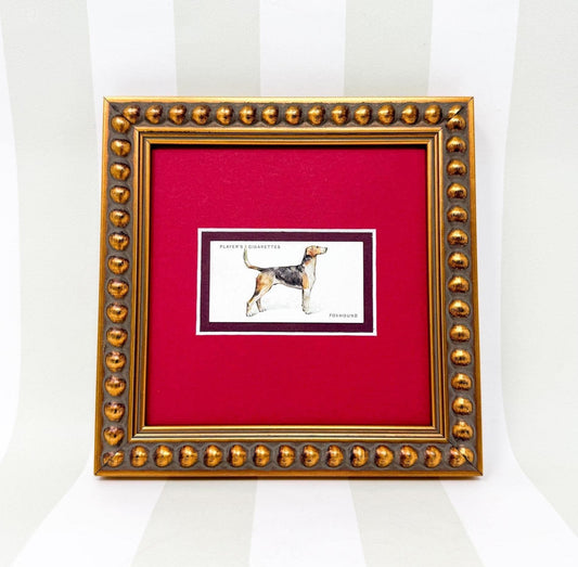 Framed Dog Antique Cigarette Card c. 1931, Beagle