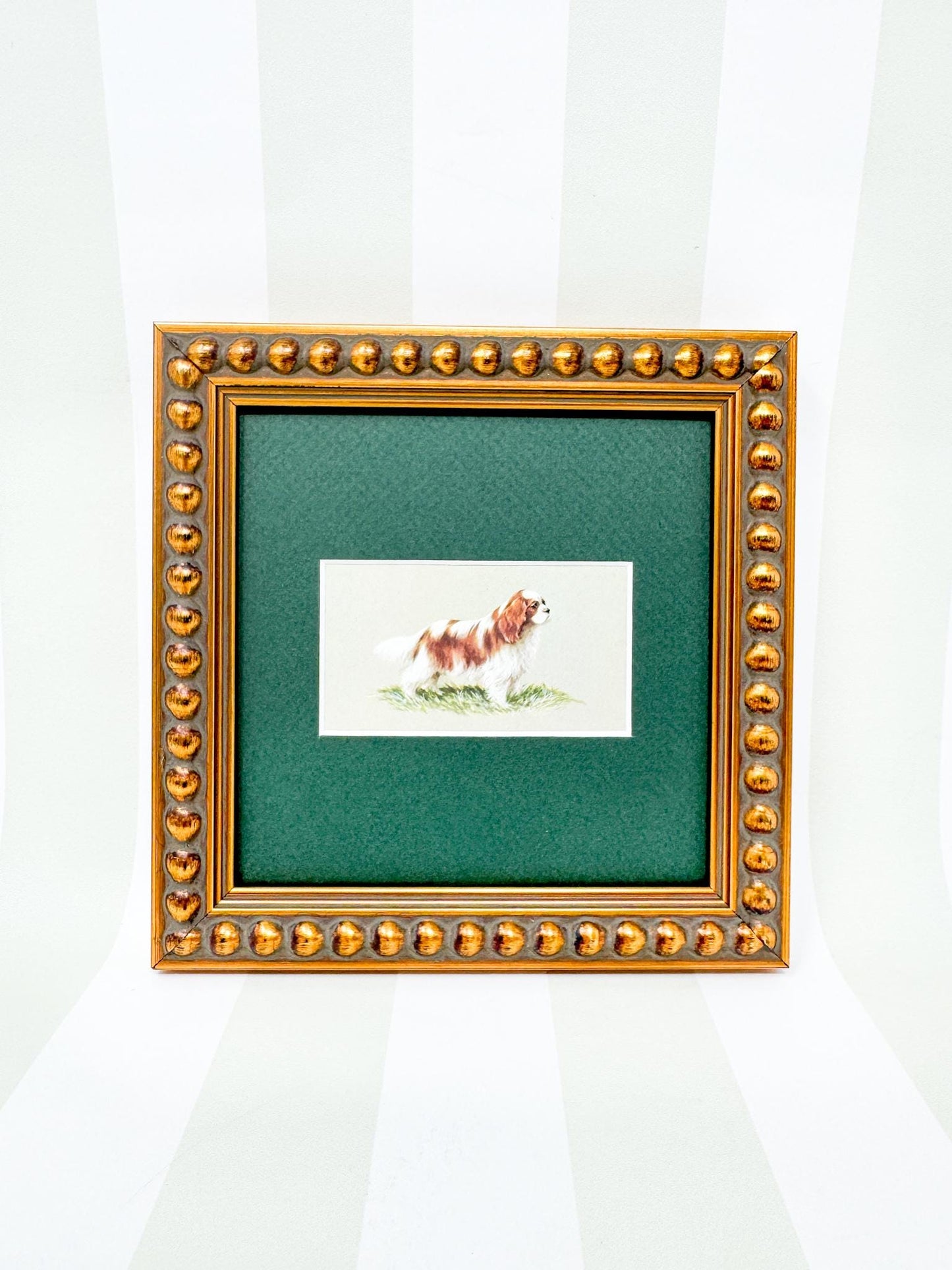 Framed Dog Vintage Cigarette Card c. 1971, King Charles Cavalier Spaniel