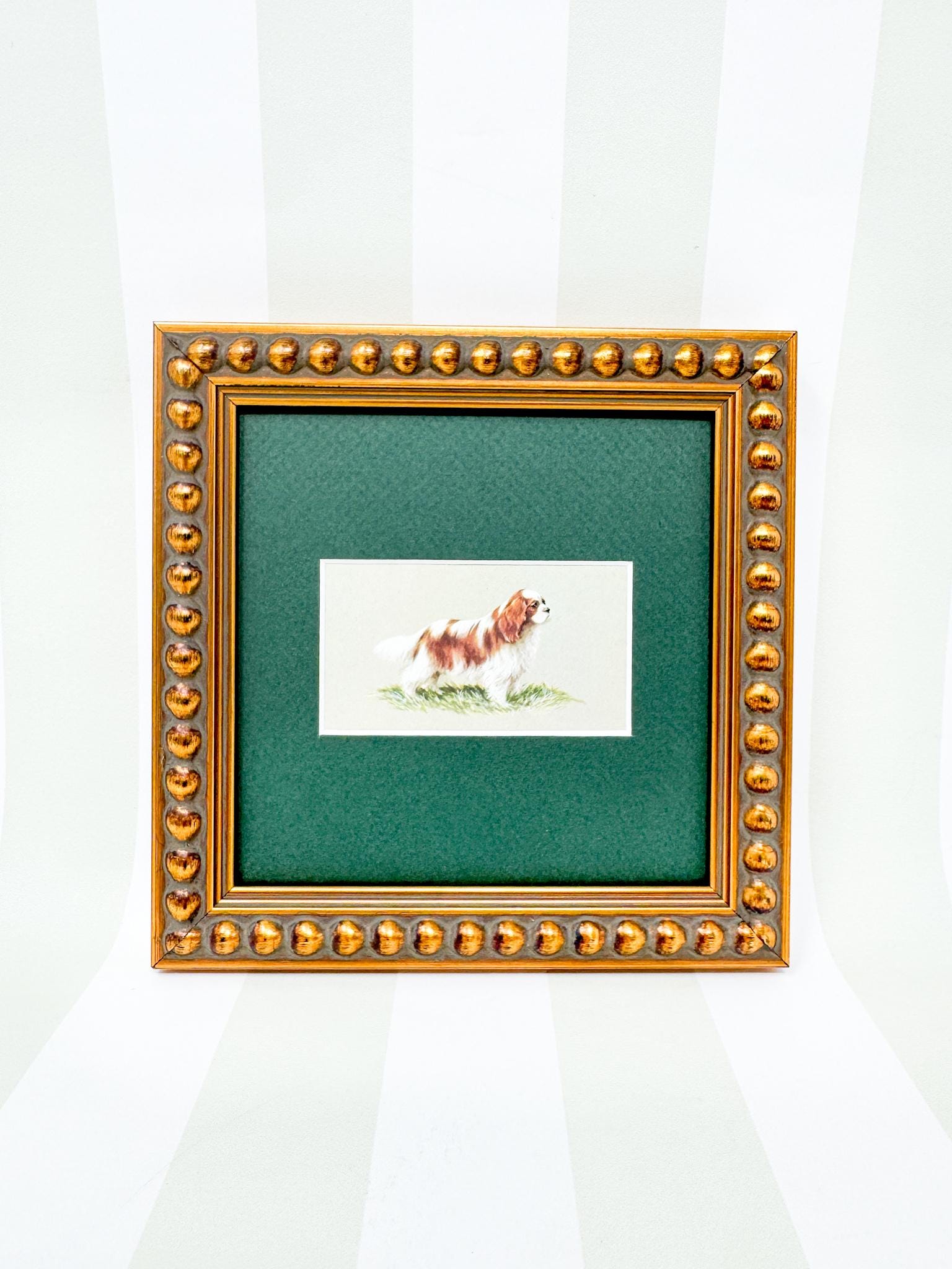 Framed Dog Vintage Cigarette Card c. 1971, King Charles Cavalier Spaniel