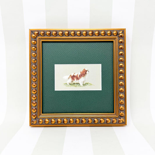 Framed Dog Vintage Cigarette Card c. 1971, King Charles Cavalier Spaniel