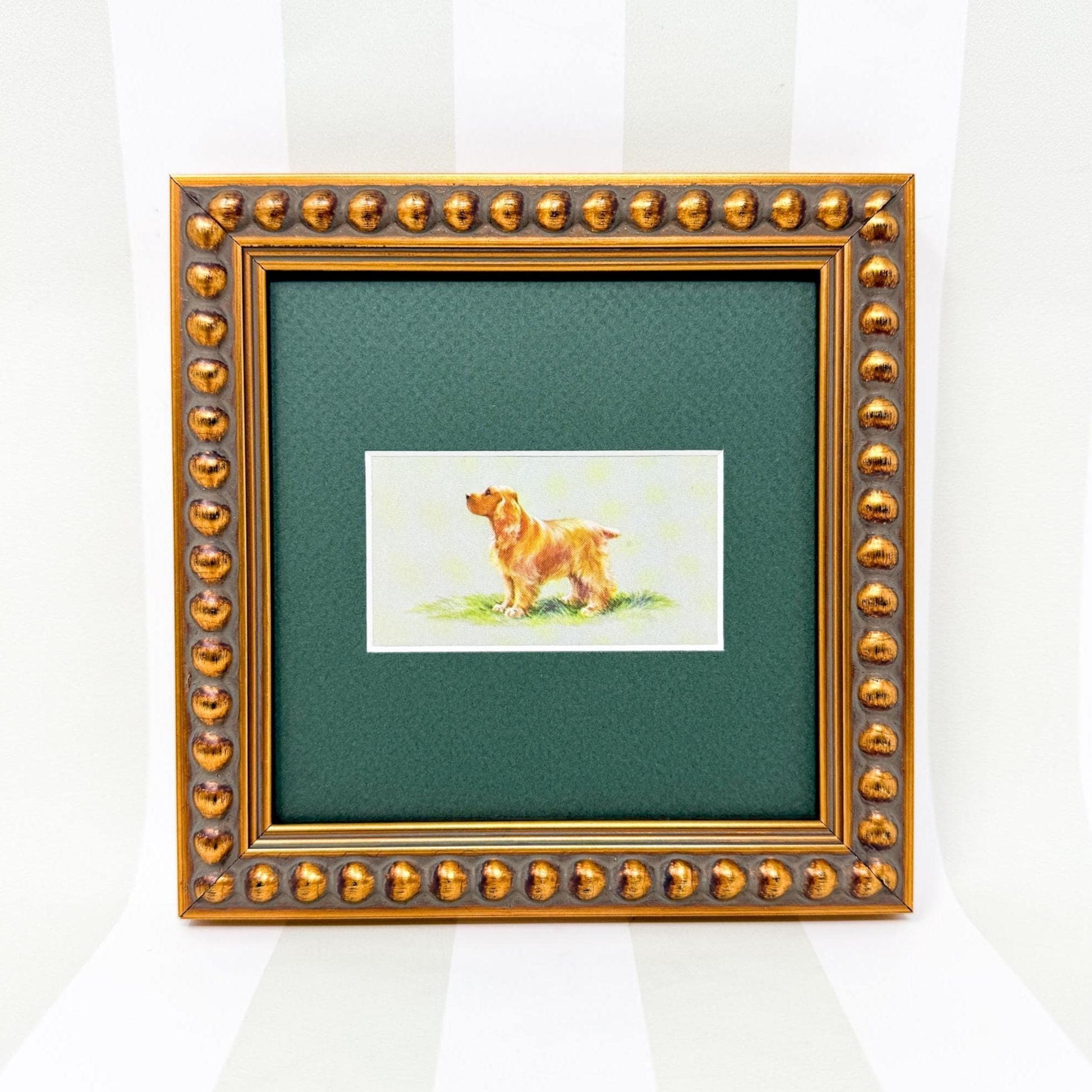 Framed Dog Vintage Cigarette Card c. 1971, Cocker Spaniel
