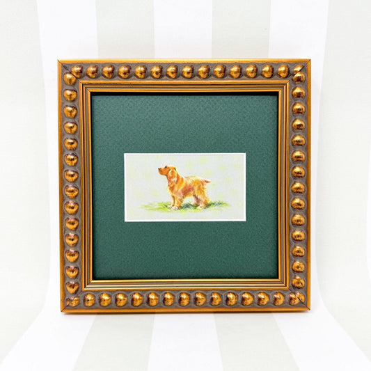Framed Dog Vintage Cigarette Card c. 1971, Cocker Spaniel
