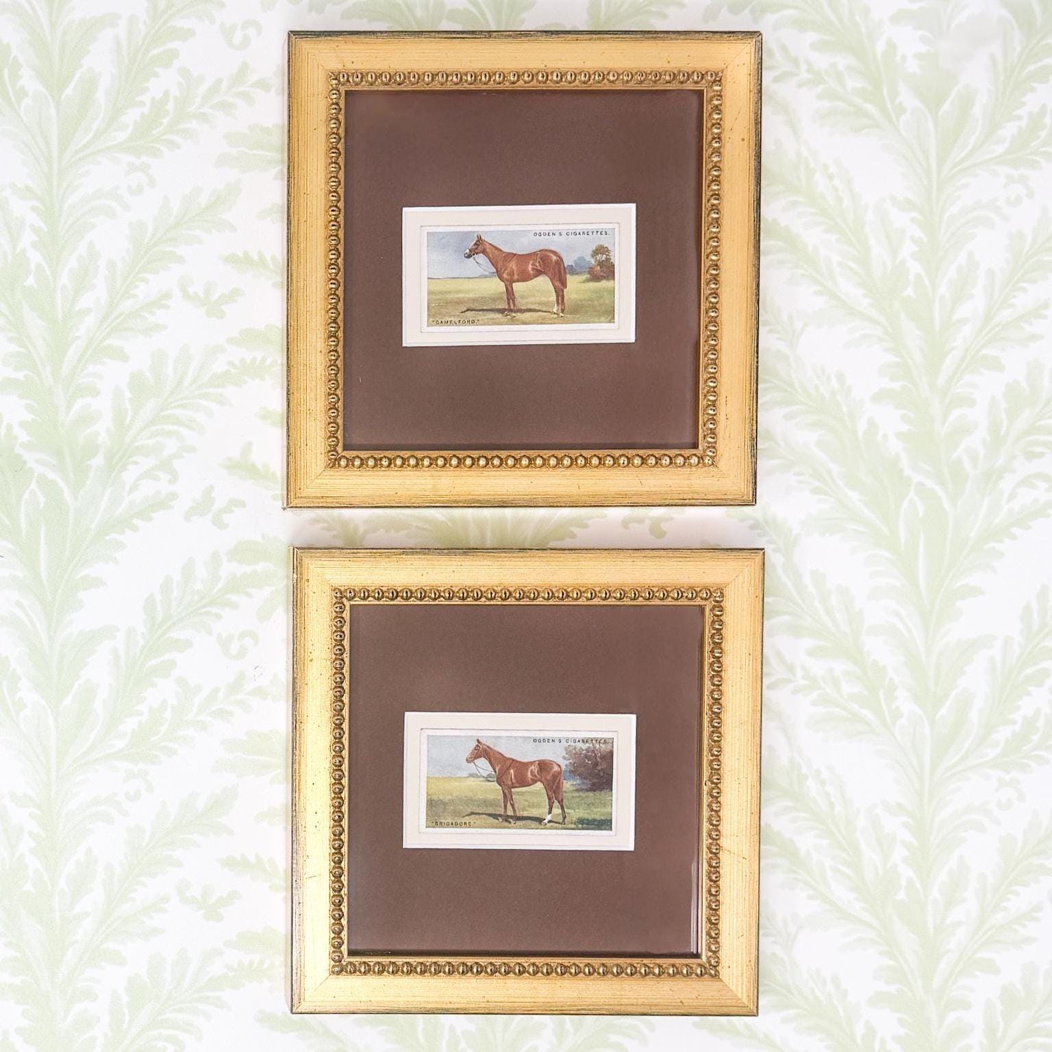 Framed Antique Race Horse Derby Cigarette Card c. 1928, Set of 2, Brigadore and Camelford