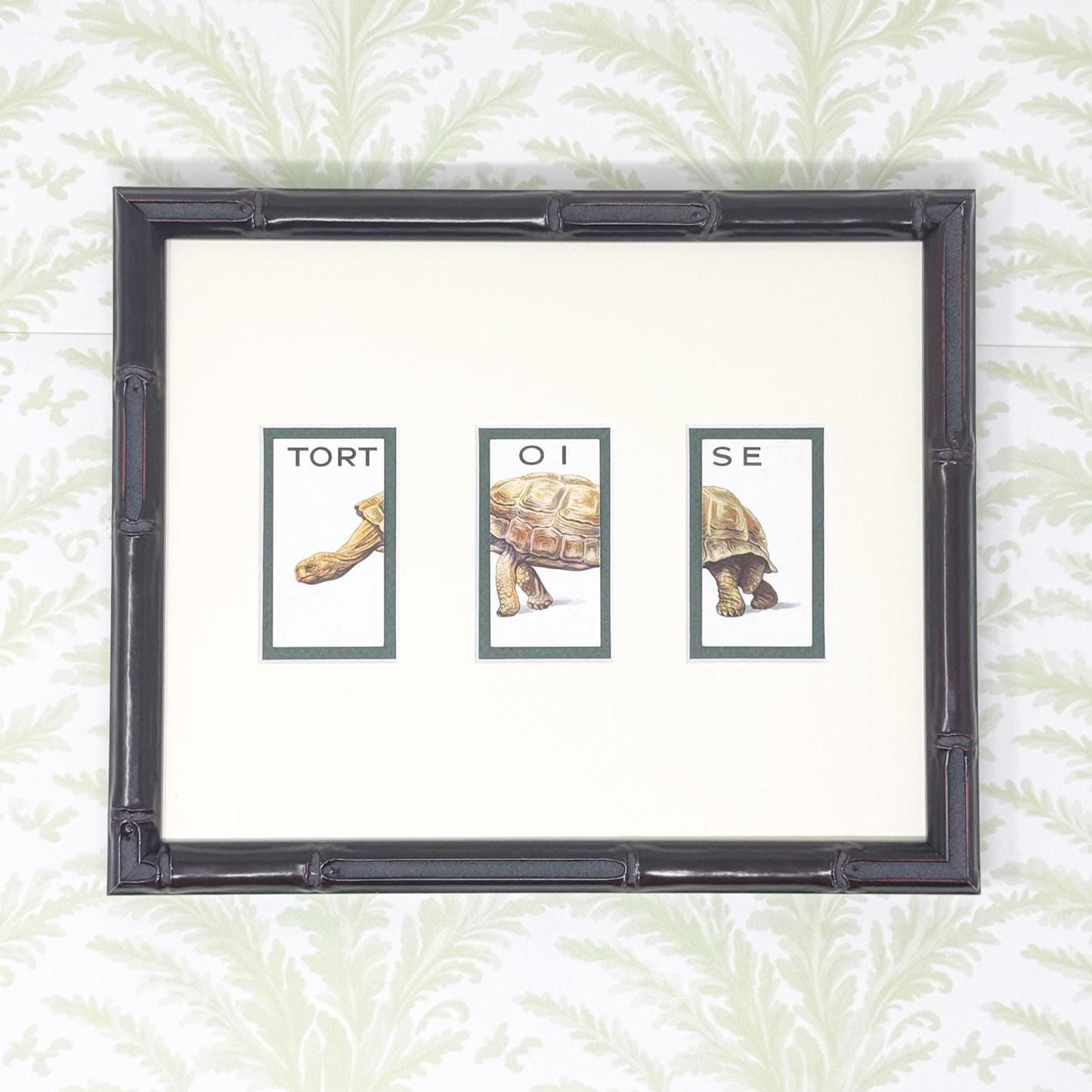 Framed Vintage Animalloys Cigarette Card c. 1934, Tortoise