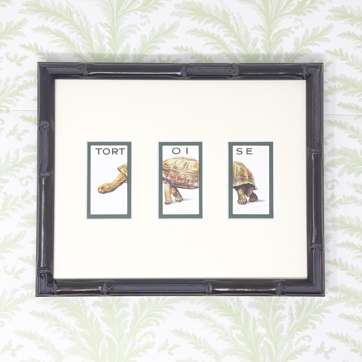 Framed Vintage Animalloys Cigarette Card c. 1934, Tortoise