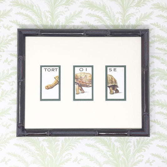 Framed Vintage Animalloys Cigarette Card c. 1934, Tortoise