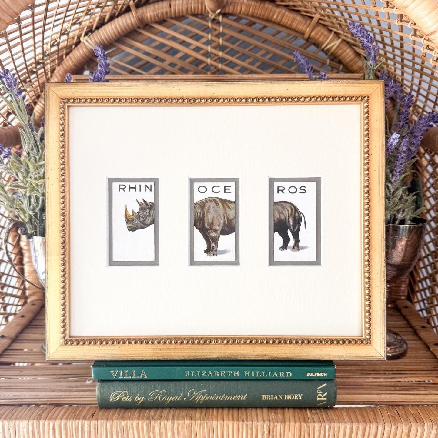 Framed Vintage Animalloys Cigarette Card c. 1934, Rhinoceros