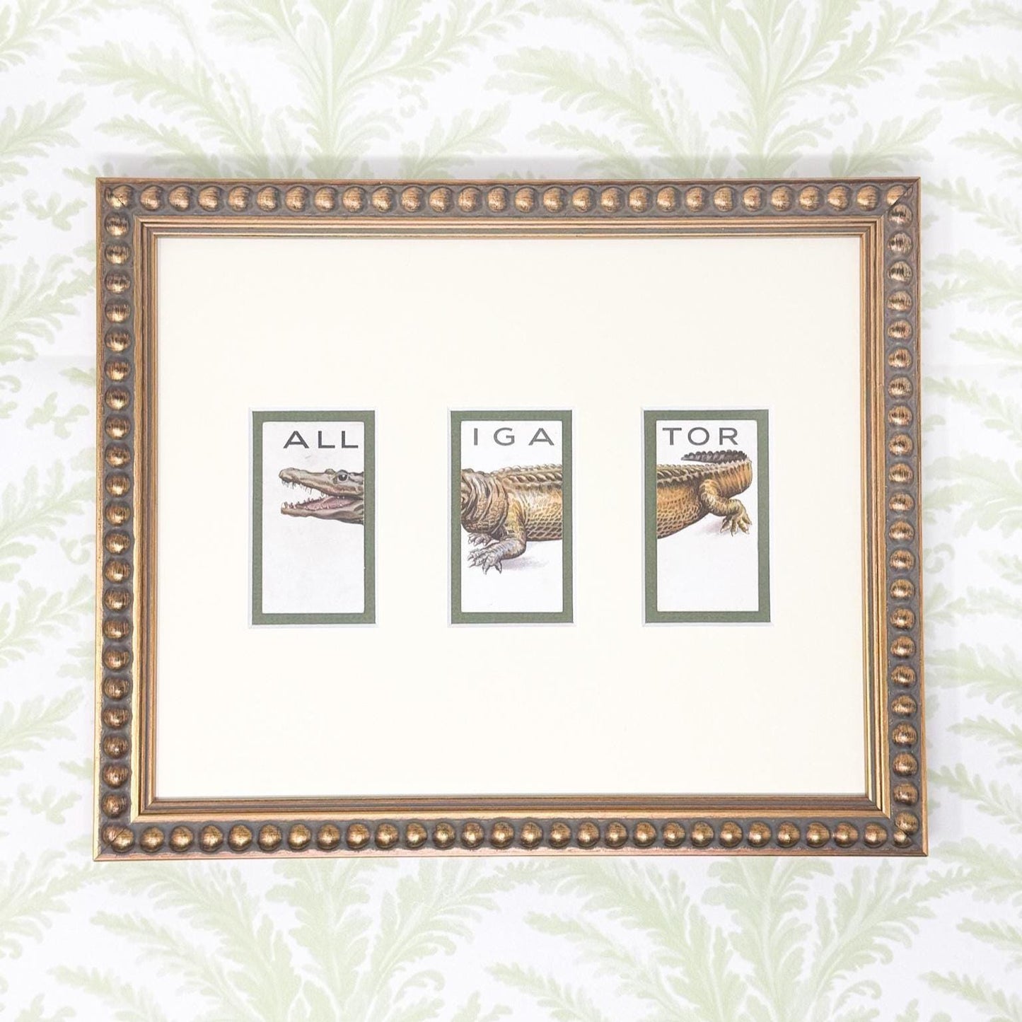 Framed Vintage Animalloys Cigarette Card c. 1934, Alligator