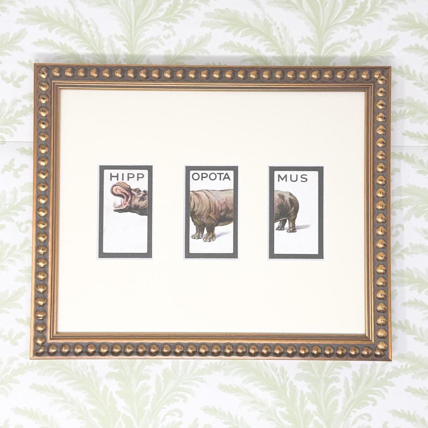 Framed Vintage Animalloys Cigarette Card c. 1934, Hippopotamus