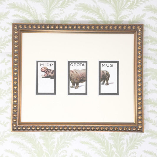 Framed Vintage Animalloys Cigarette Card c. 1934, Hippopotamus
