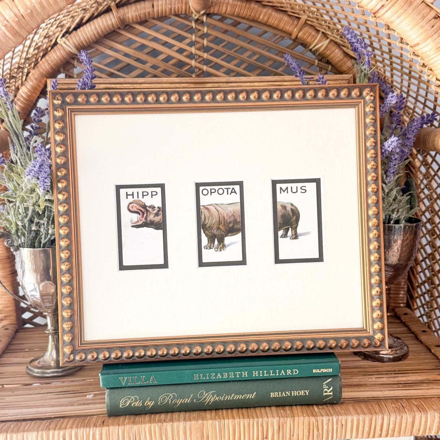 Framed Vintage Animalloys Cigarette Card c. 1934, Hippopotamus