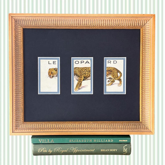 Framed Vintage Animalloys Cigarette Card c. 1934, Leopard