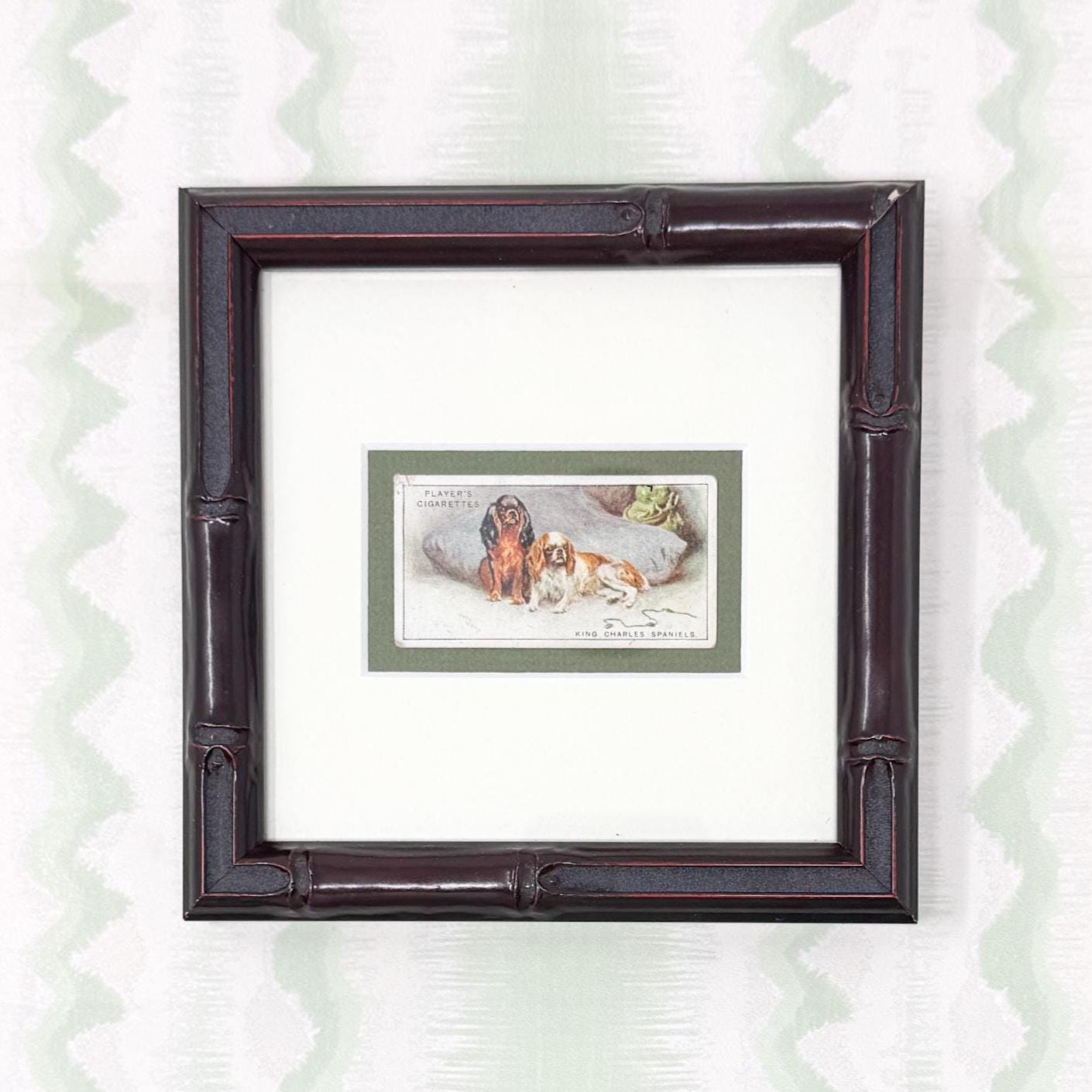 Framed Antique Dog Cigarette Card c. 1925, King Charles Cavalier Spaniel