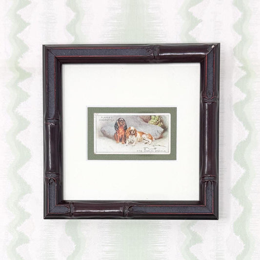 Framed Antique Dog Cigarette Card c. 1925, King Charles Cavalier Spaniel