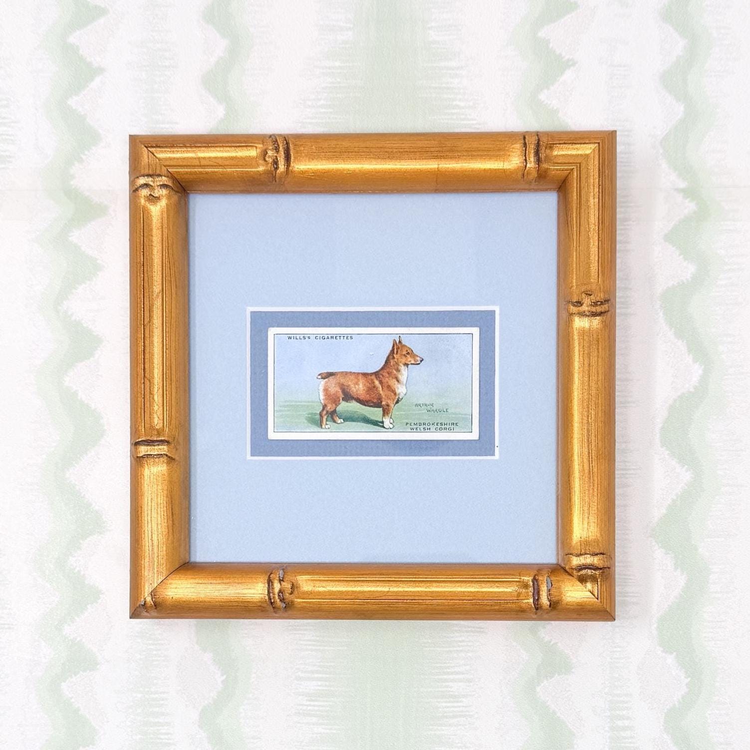 Framed Antique Dog Cigarette Card c. 1937, Welsh Corgi