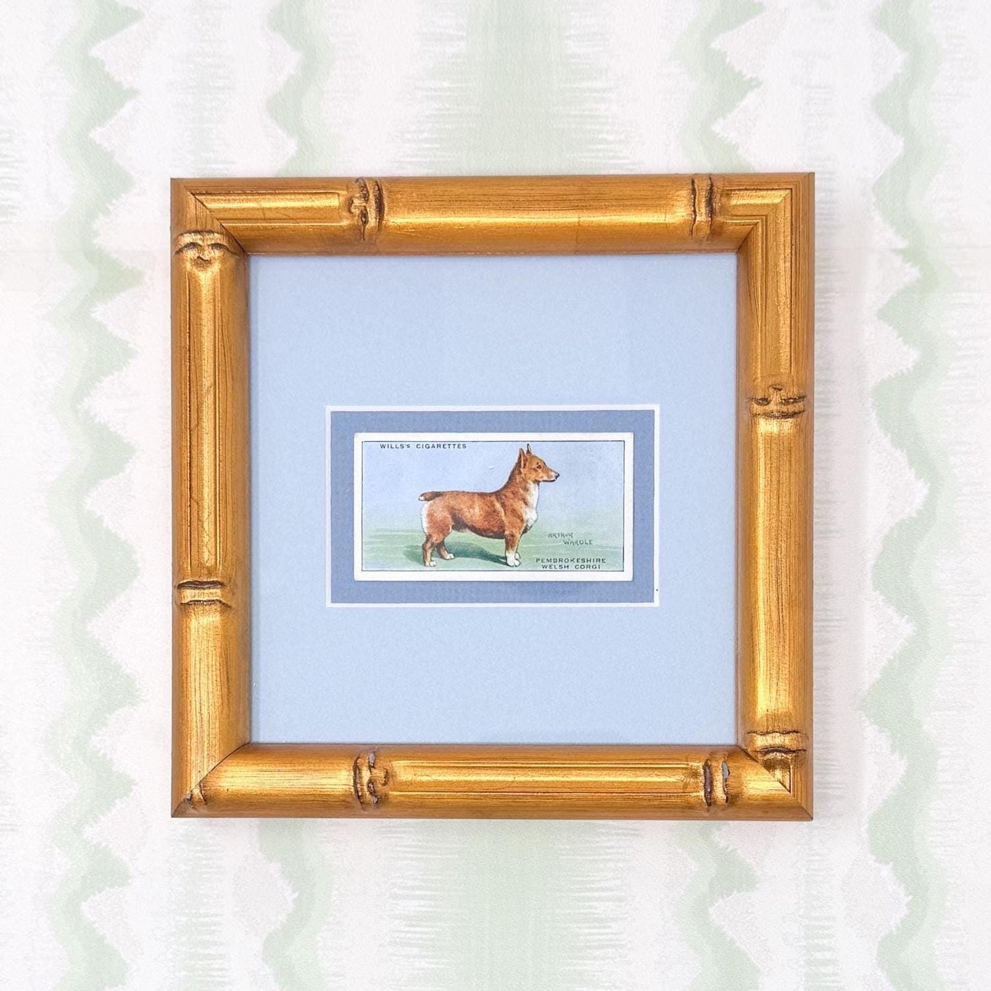 Framed Vintage Dog Cigarette Card c. 1937, Welsh Corgi