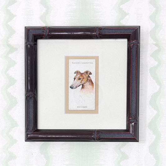 Framed Antique Dog Cigarette Card c. 1929, Greyhound