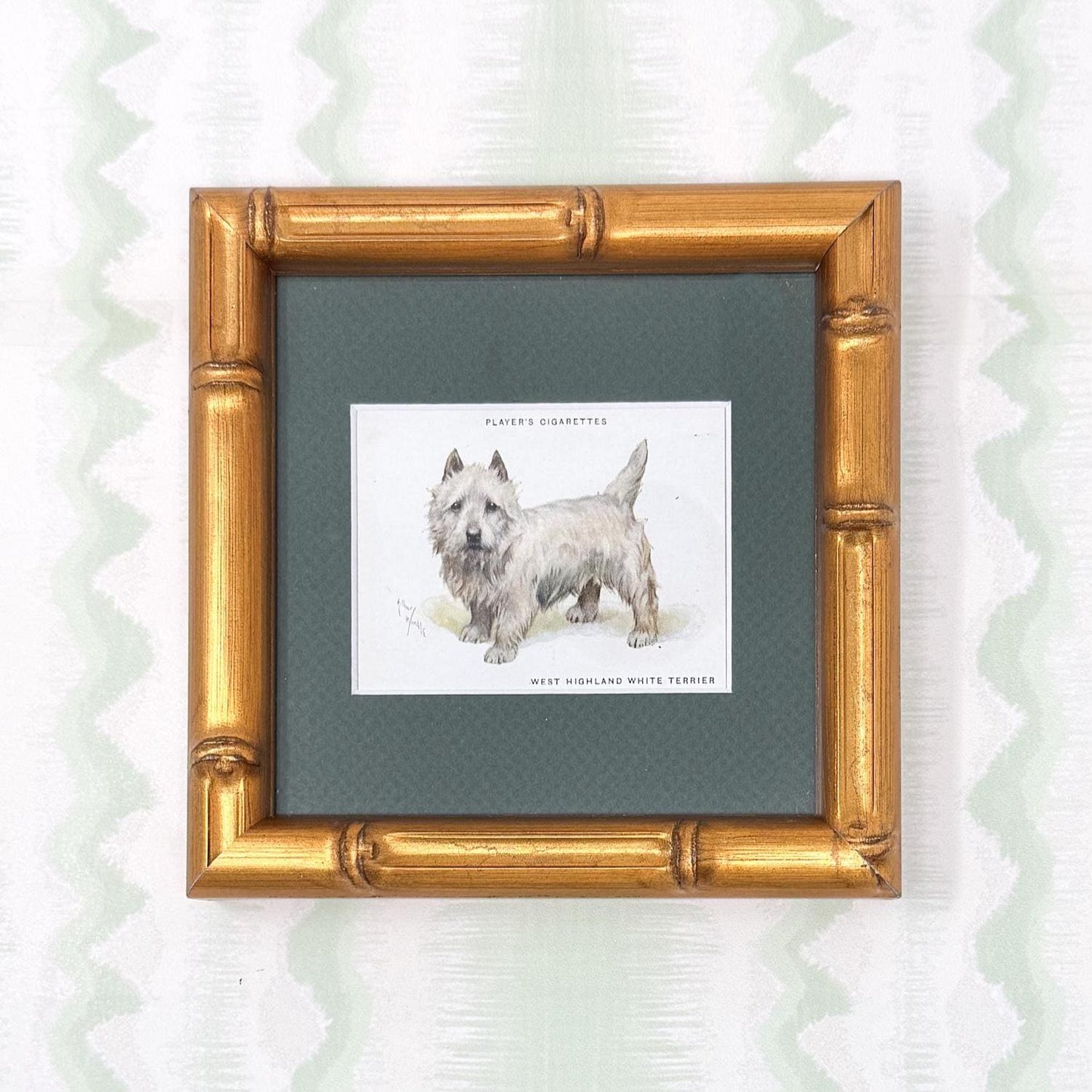Framed Antique Dog Cigarette Card c. 1933, West Highland White Terrier