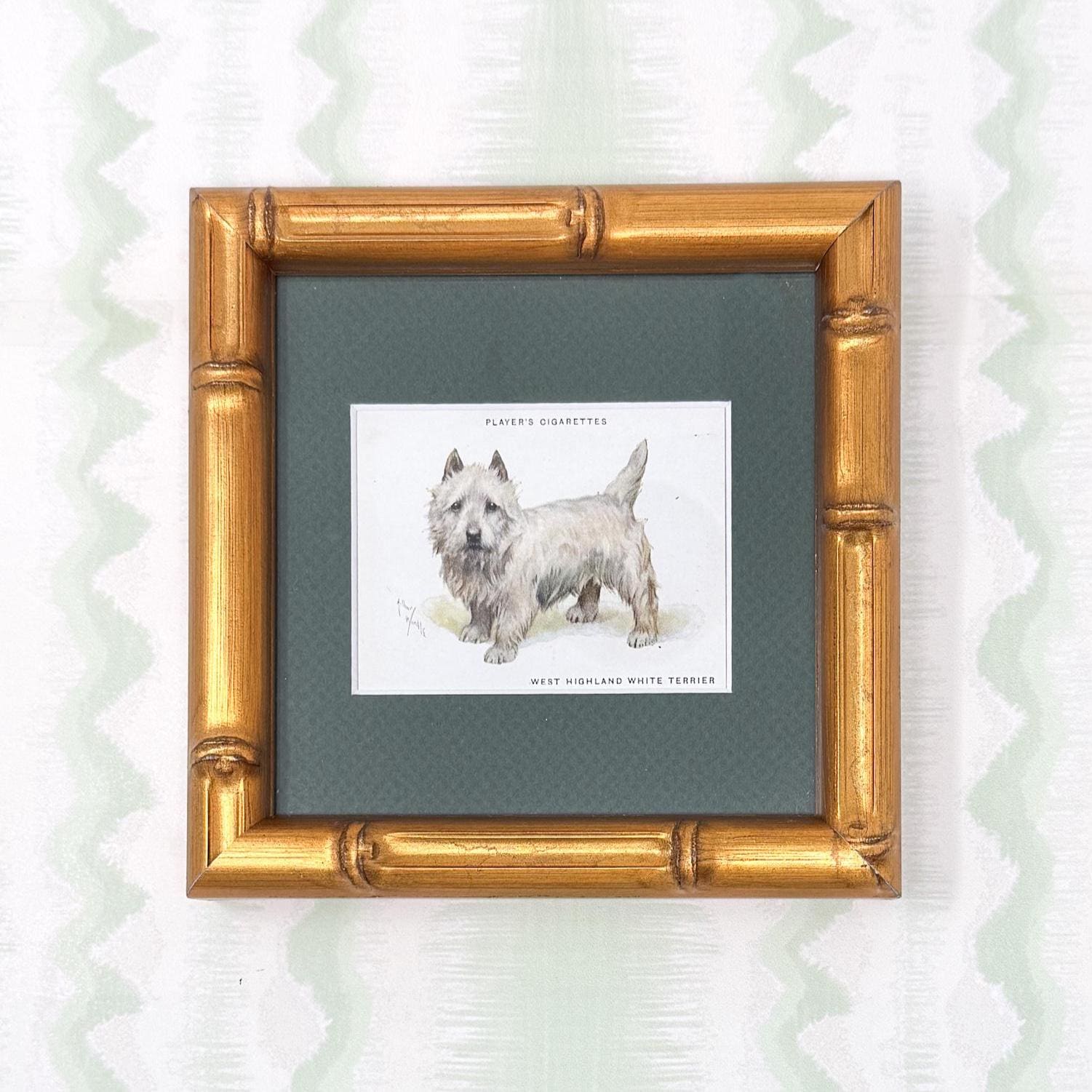 Framed Antique Dog Cigarette Card c. 1933, West Highland White Terrier