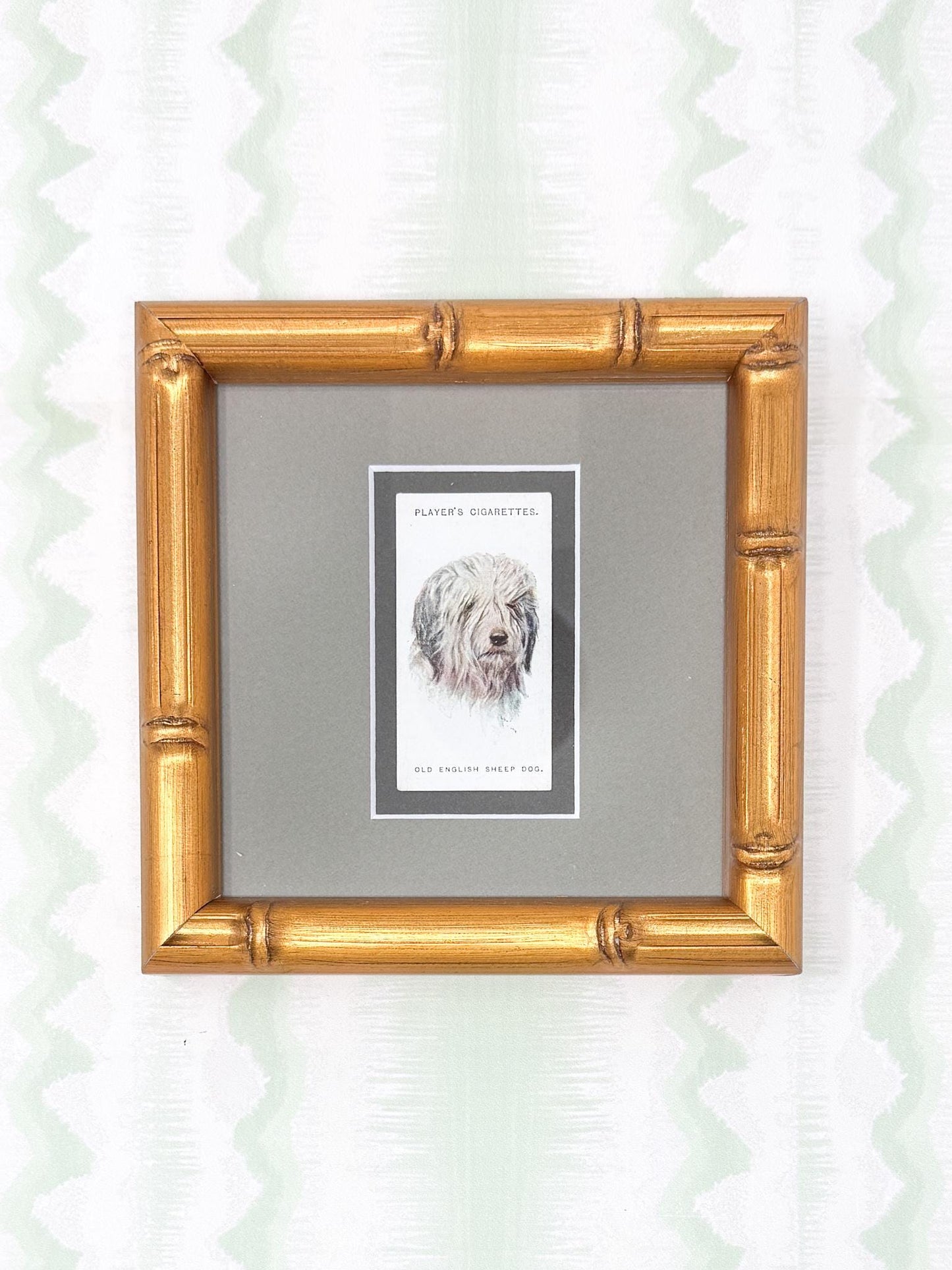 Framed Antique Dog Cigarette Card c. 1929, Old English Sheep Dog