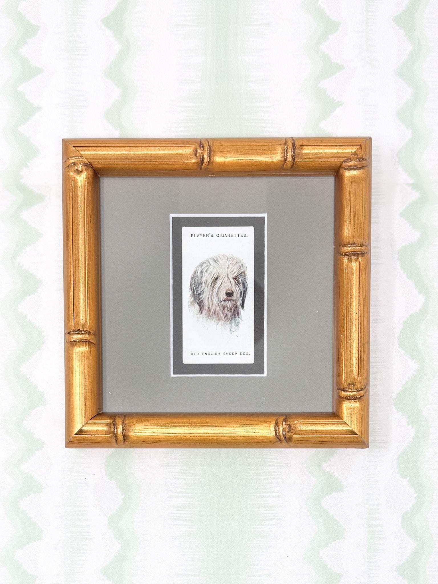 Framed Antique Dog Cigarette Card c. 1929, Old English Sheep Dog