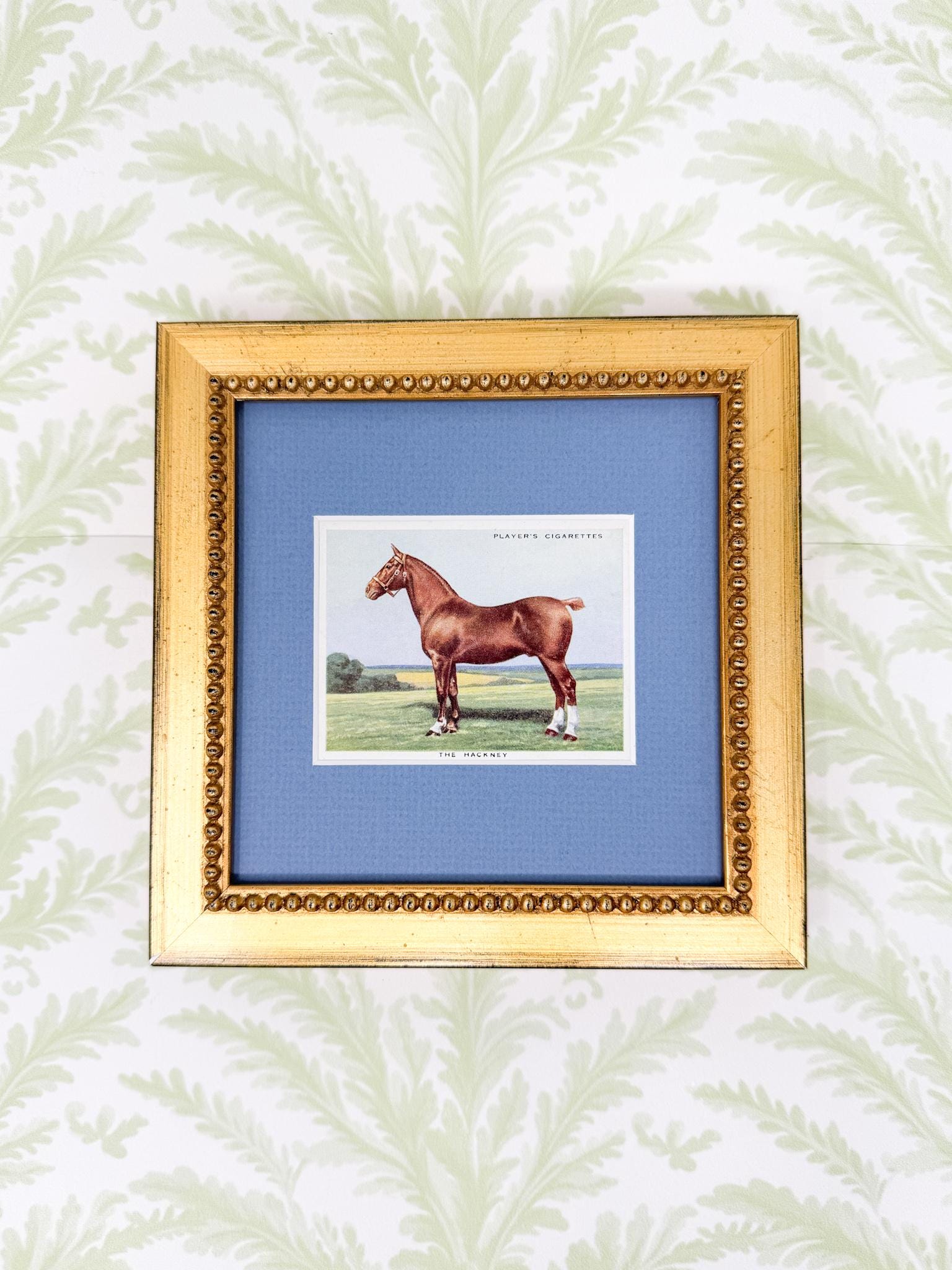 Framed Vintage Horse Cigarette Card c. 1939, The Hackney