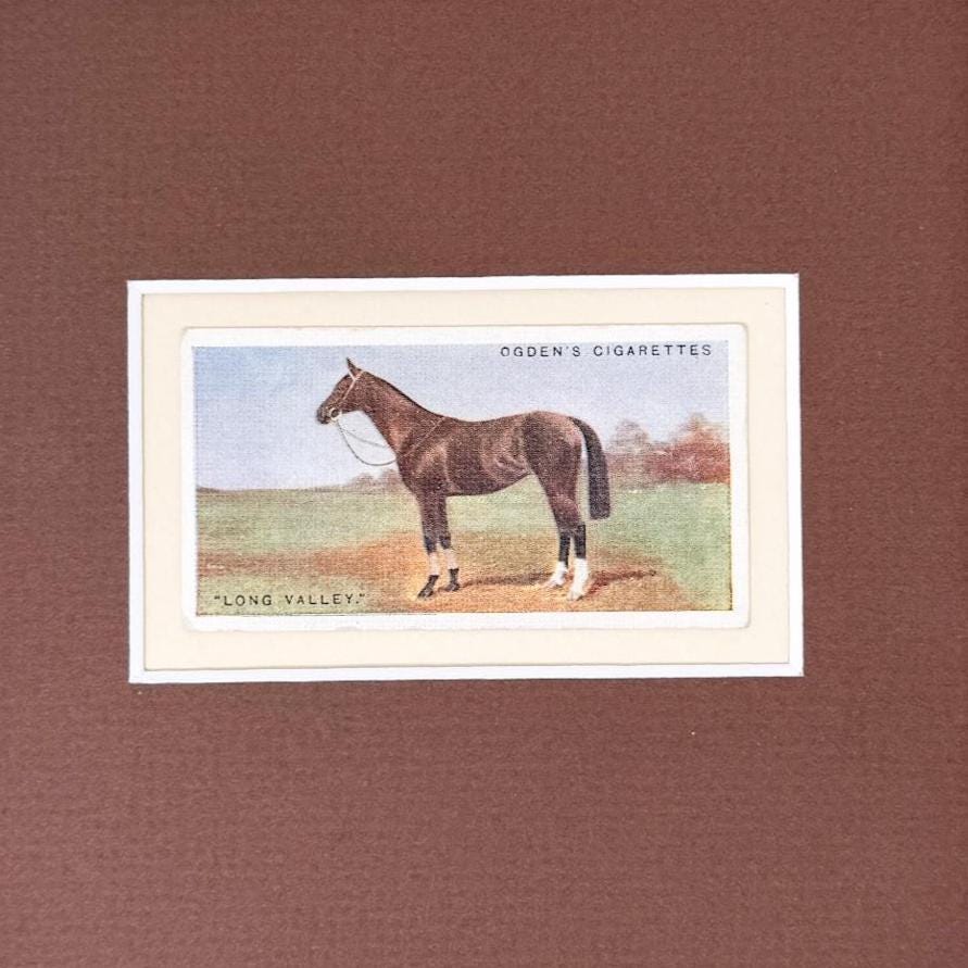 Framed Antique Race Horse Derby Cigarette Card c. 1928, Long Valley