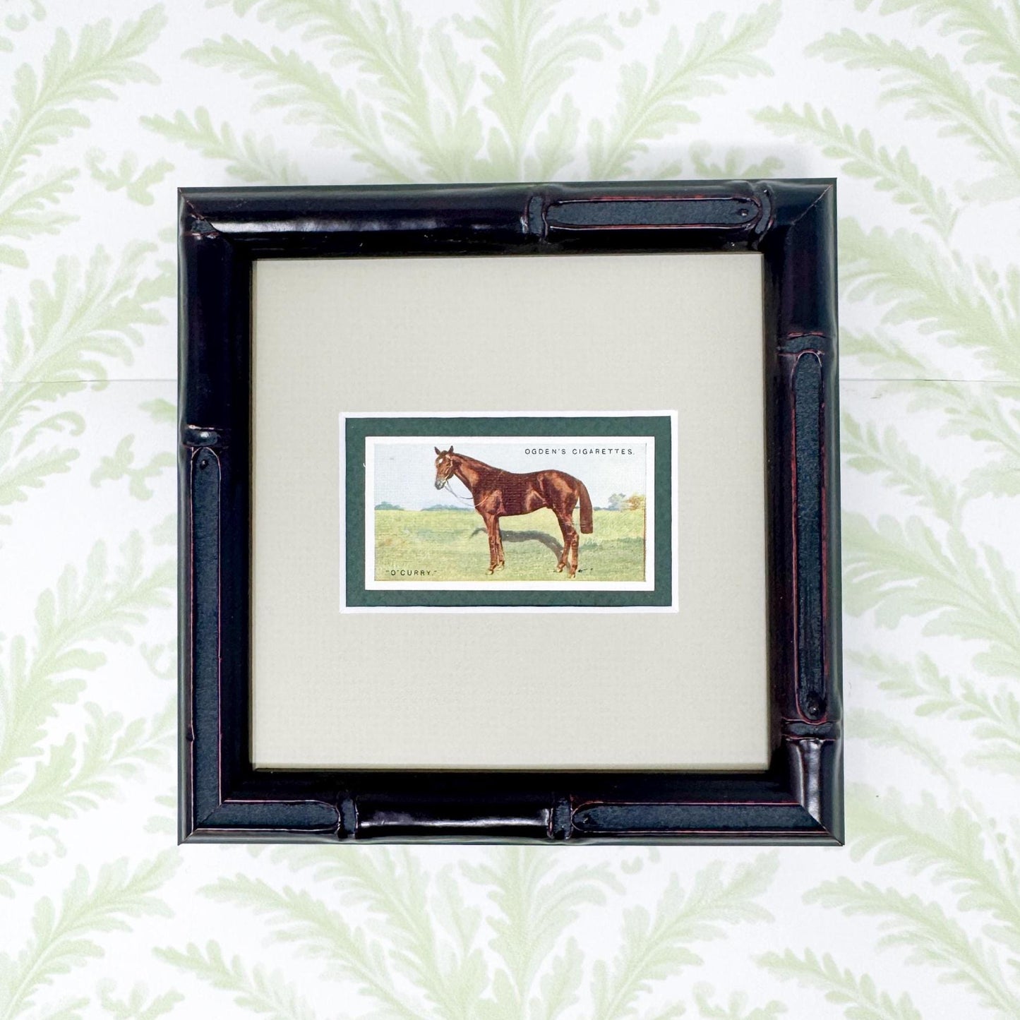 Framed Antique Race Horse Derby Cigarette Card c. 1928, O'Curry