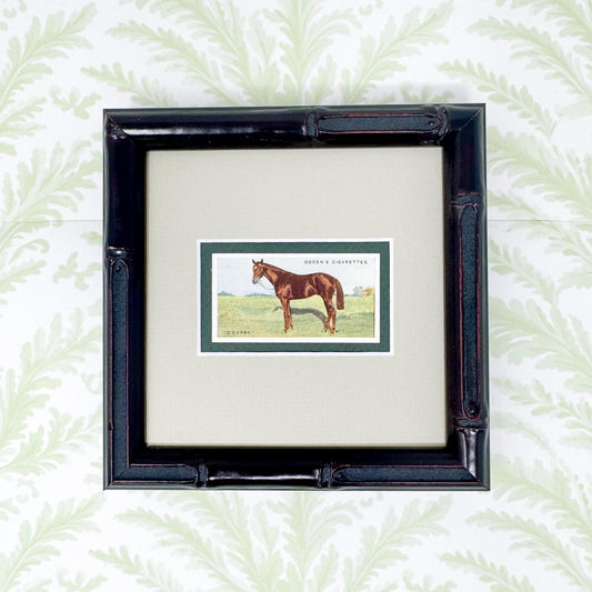 Framed Antique Race Horse Derby Cigarette Card c. 1928, O'Curry