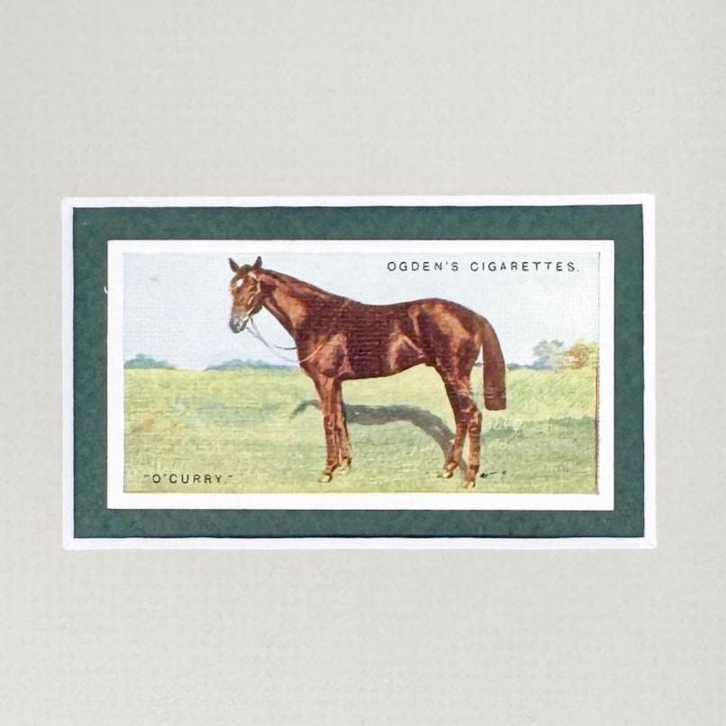 Framed Antique Race Horse Derby Cigarette Card c. 1928, O'Curry