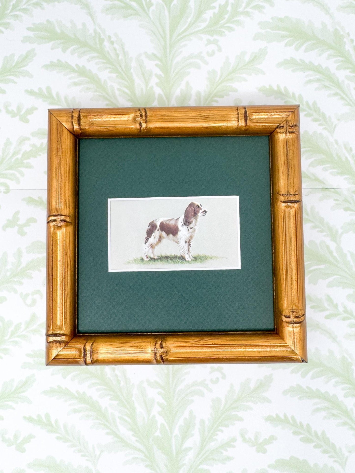 Framed Vintage Dog Cigarette Card c. 1971, English Springer Spaniel