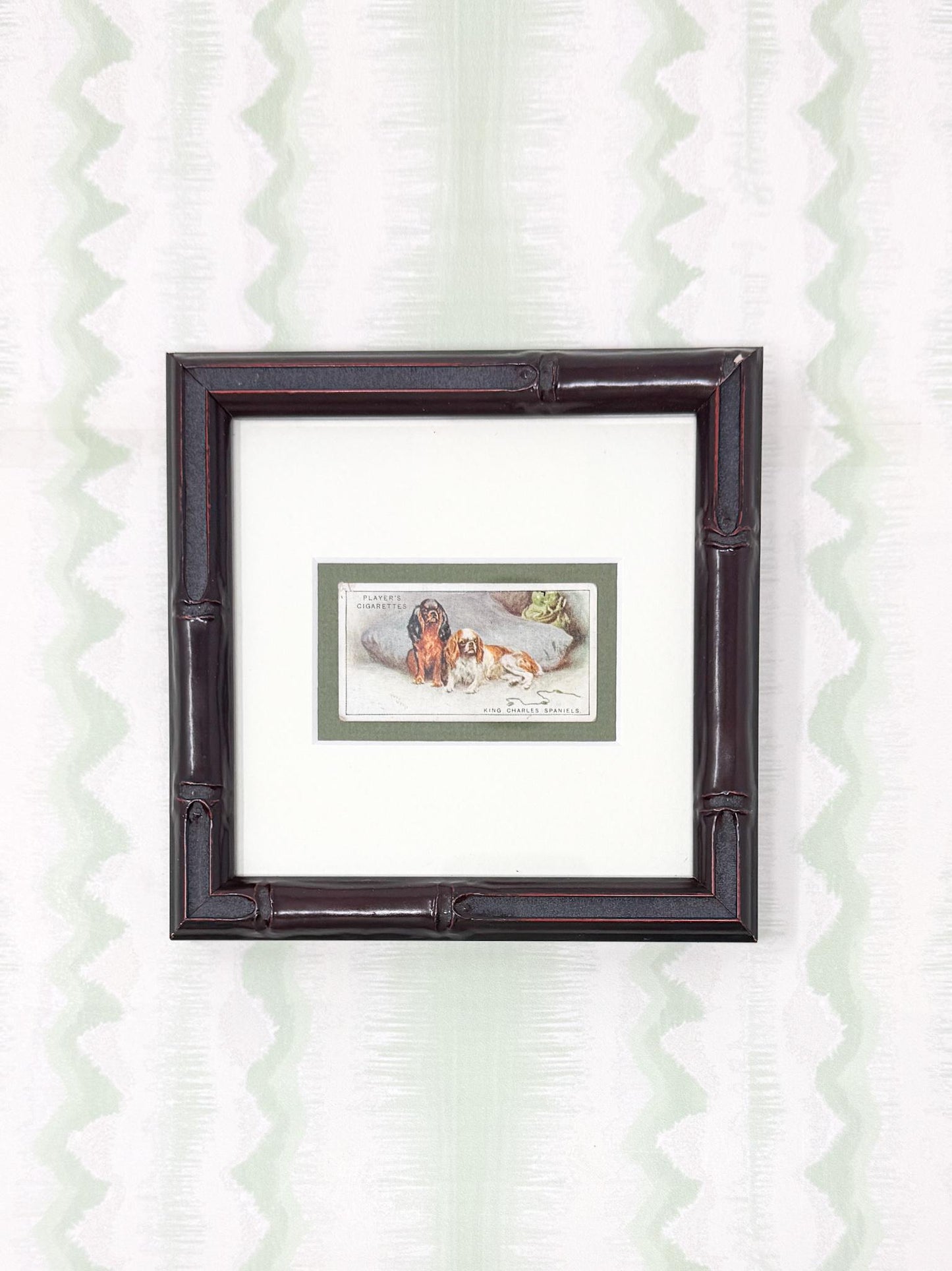 Framed Antique Dog Cigarette Card c. 1925, King Charles Cavalier Spaniel