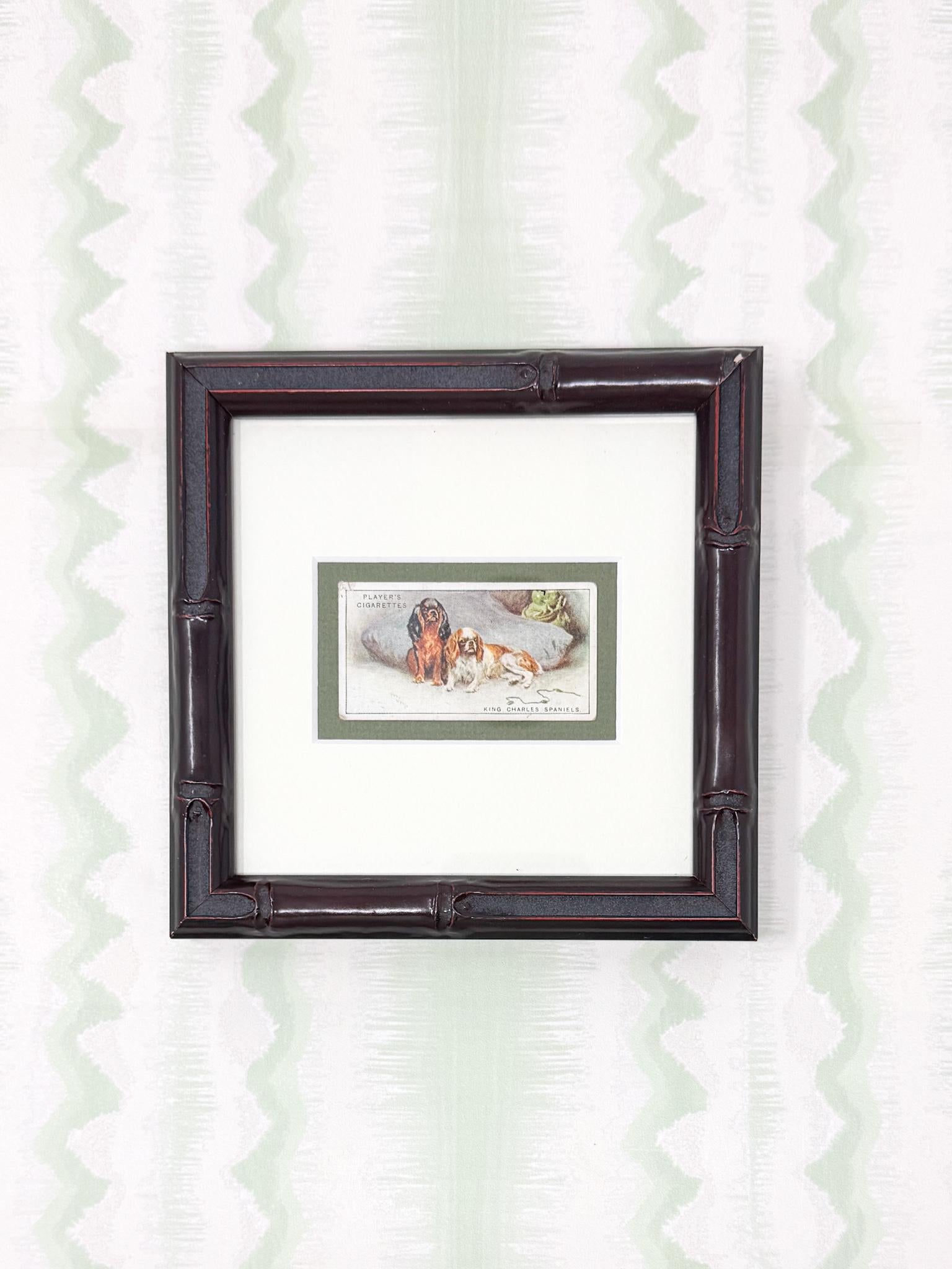 Framed Antique Dog Cigarette Card c. 1925, King Charles Cavalier Spaniel
