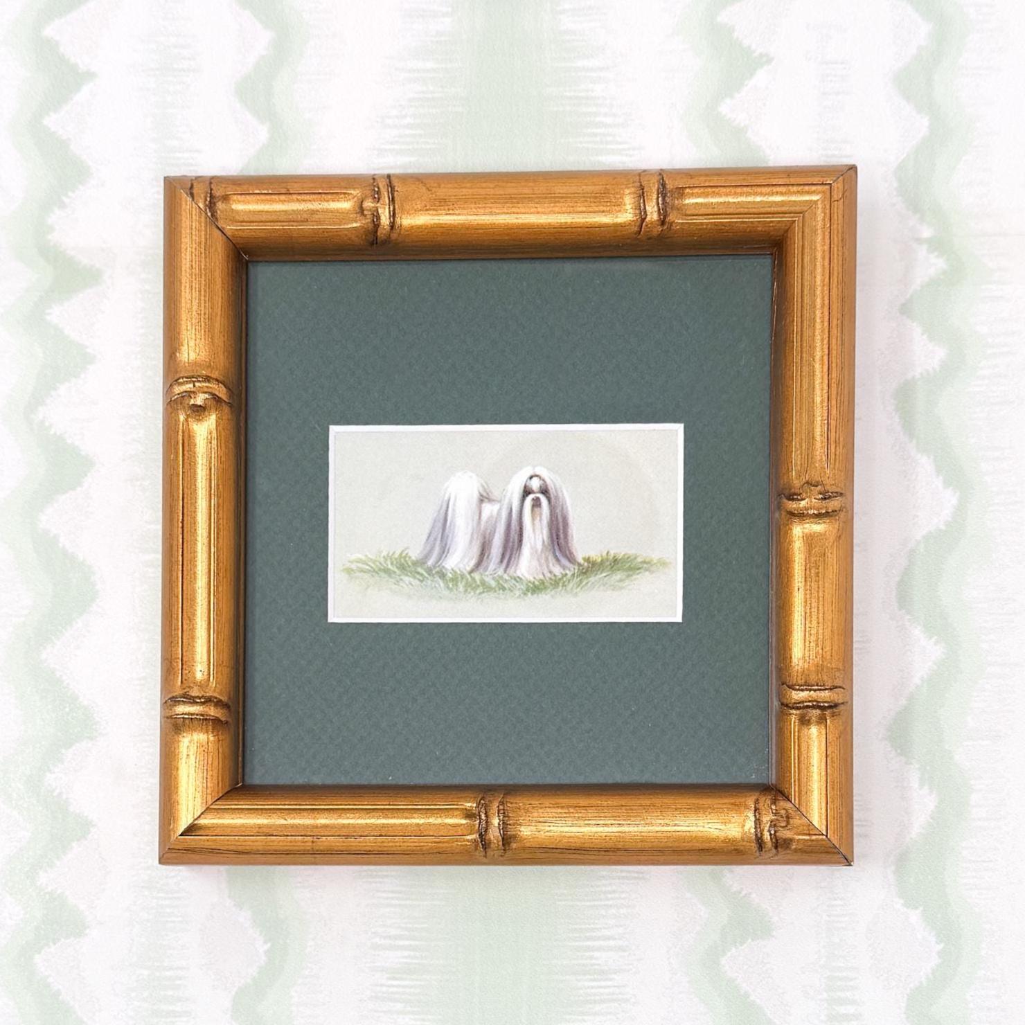 Framed Vintage Dog Cigarette Card c. 1971, Shih Tzu