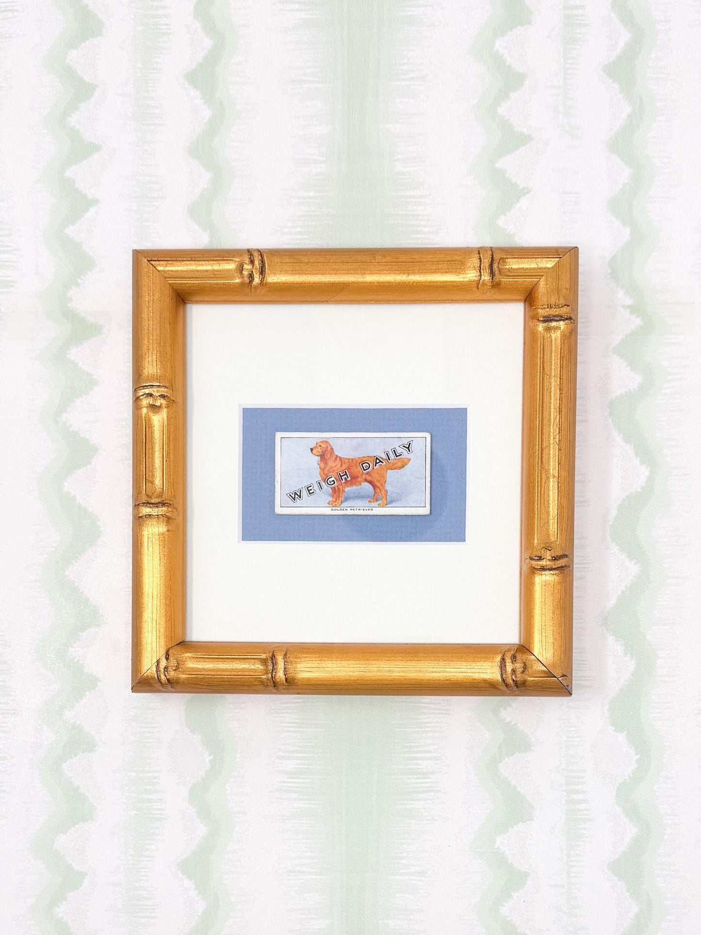 Framed Vintage Dog Cigarette Card, Golden Retriever