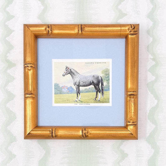 Framed Antique Horse Cigarette Card c. 1939, Anglo Arab