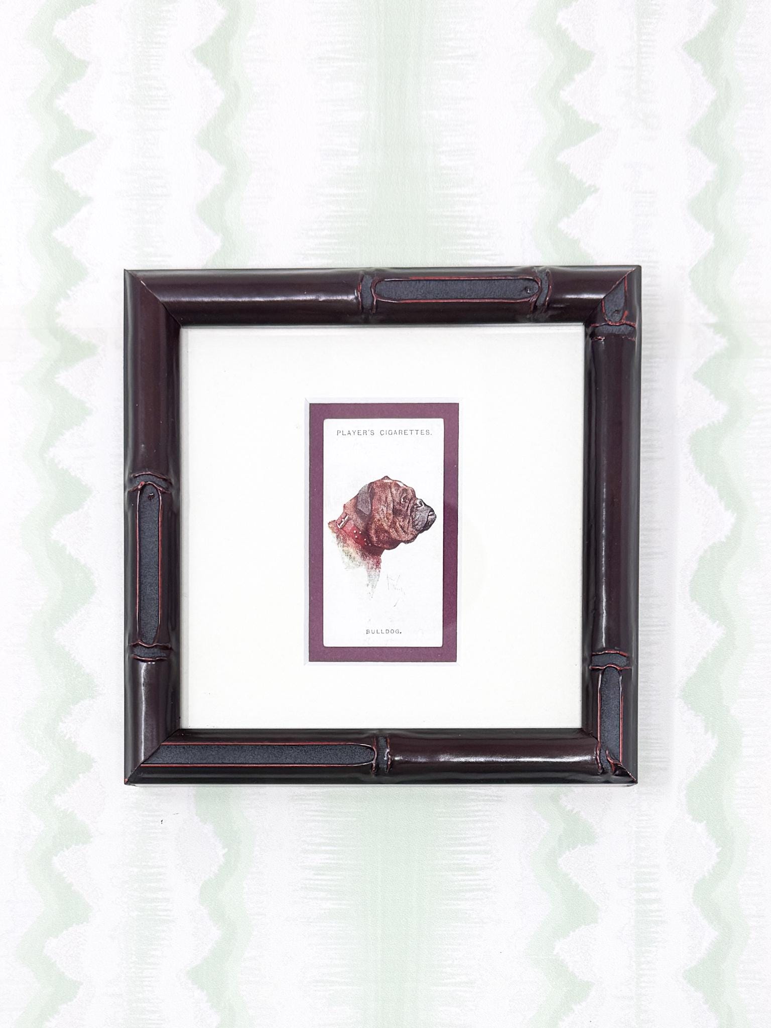 Framed Antique Dog Cigarette Card c. 1929, Bulldog