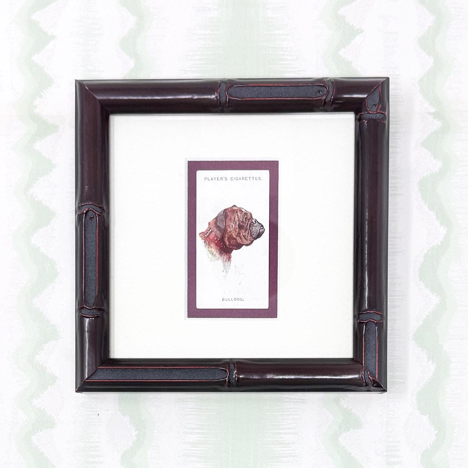 Framed Antique Dog Cigarette Card c. 1929, Bulldog