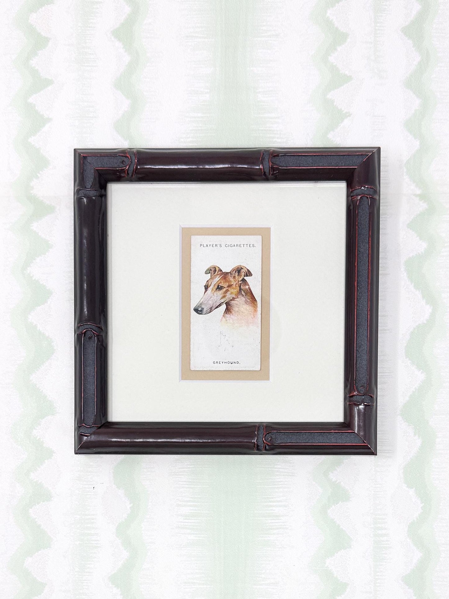 Framed Antique Dog Cigarette Card c. 1929, Greyhound
