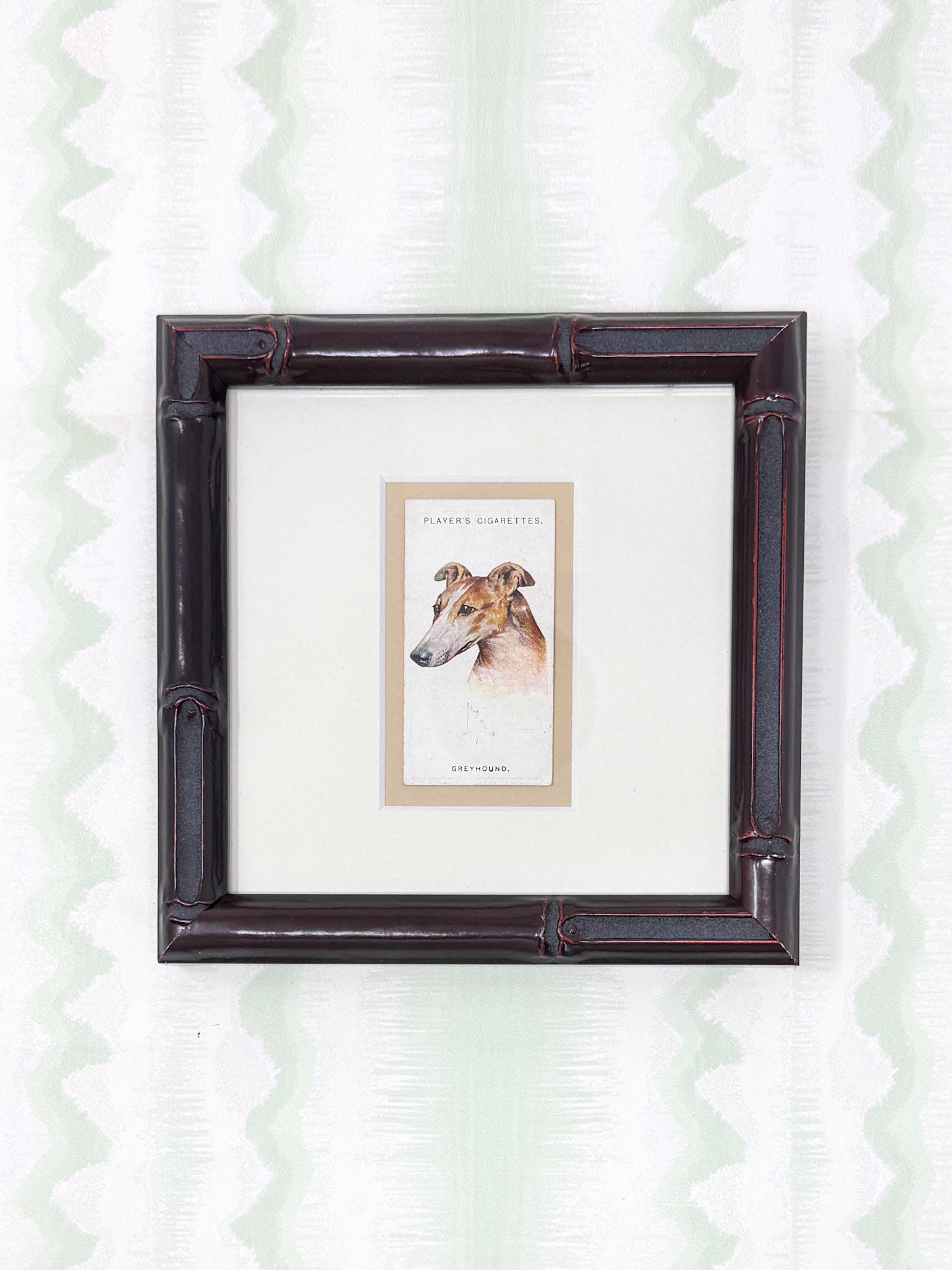 Framed Antique Dog Cigarette Card c. 1929, Greyhound