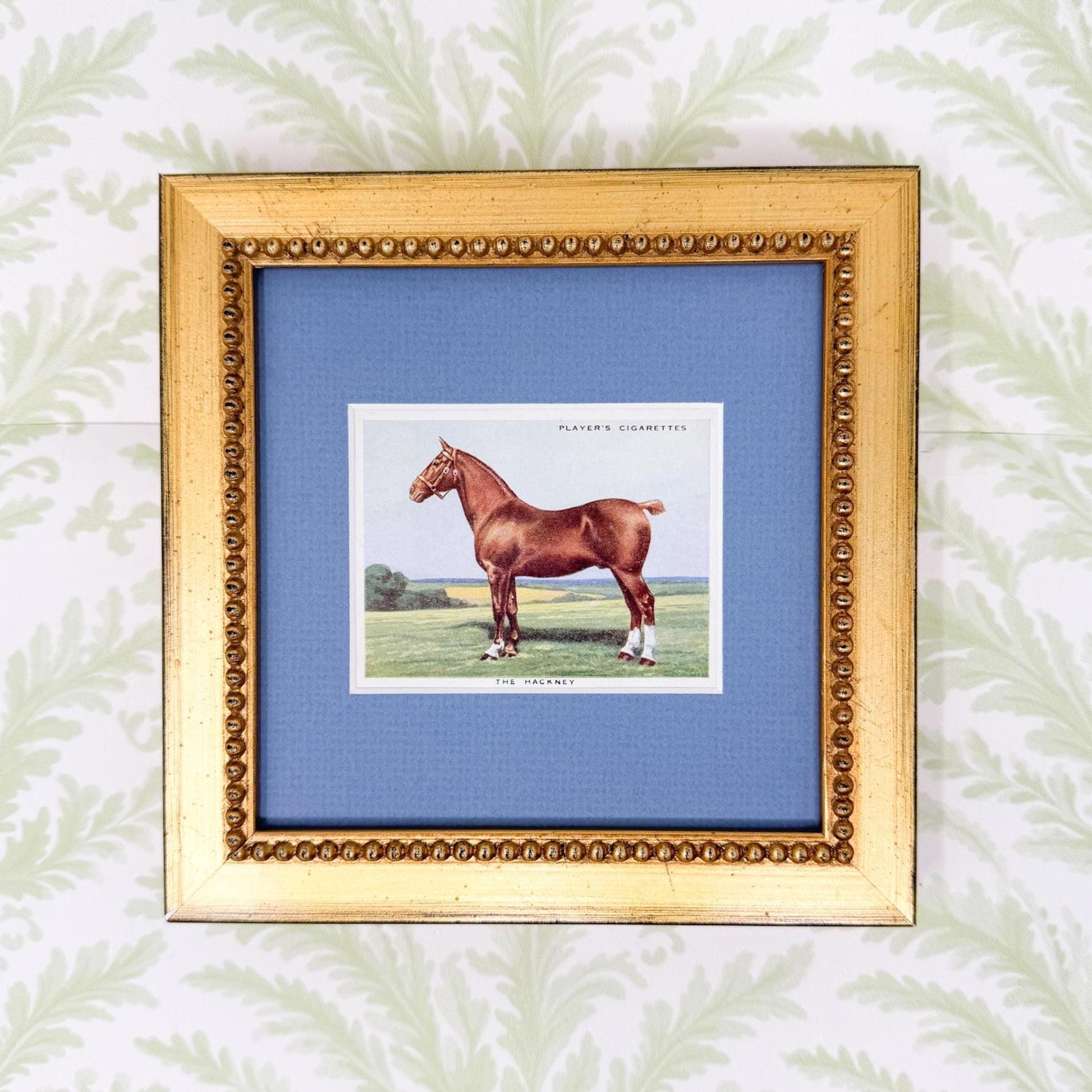 Framed Vintage Horse Cigarette Card c. 1939, The Hackney