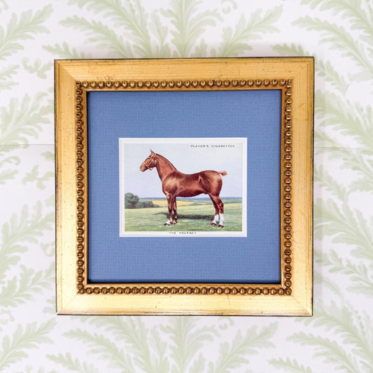 Framed Vintage Horse Cigarette Card c. 1939, The Hackney