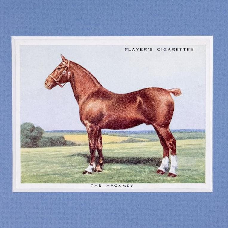 Framed Vintage Horse Cigarette Card c. 1939, The Hackney