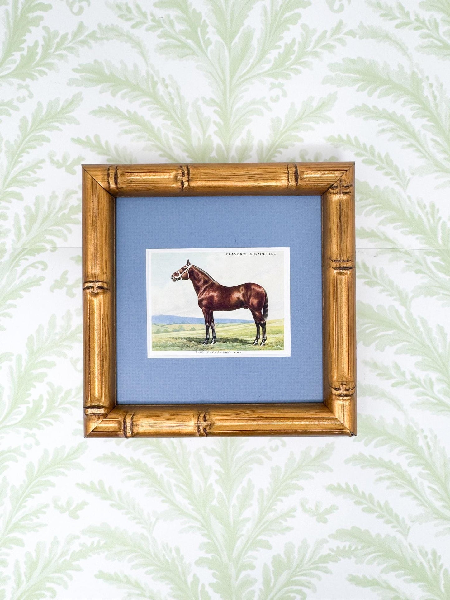 Framed Antique Horse Cigarette Card c. 1939, Cleveland Bay