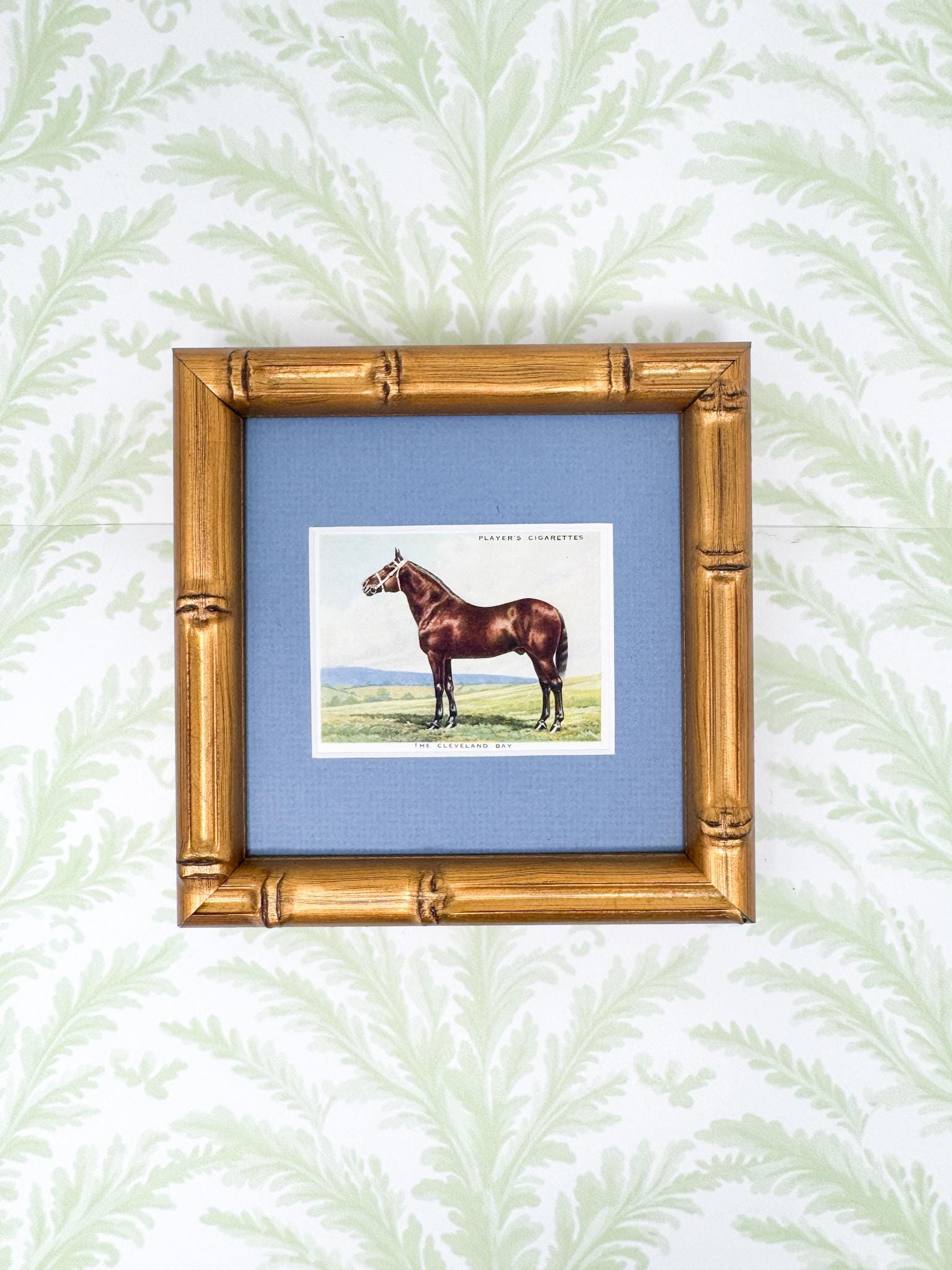 Framed Antique Horse Cigarette Card c. 1939, Cleveland Bay