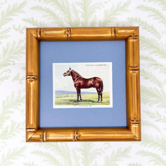 Framed Antique Horse Cigarette Card c. 1939, Cleveland Bay