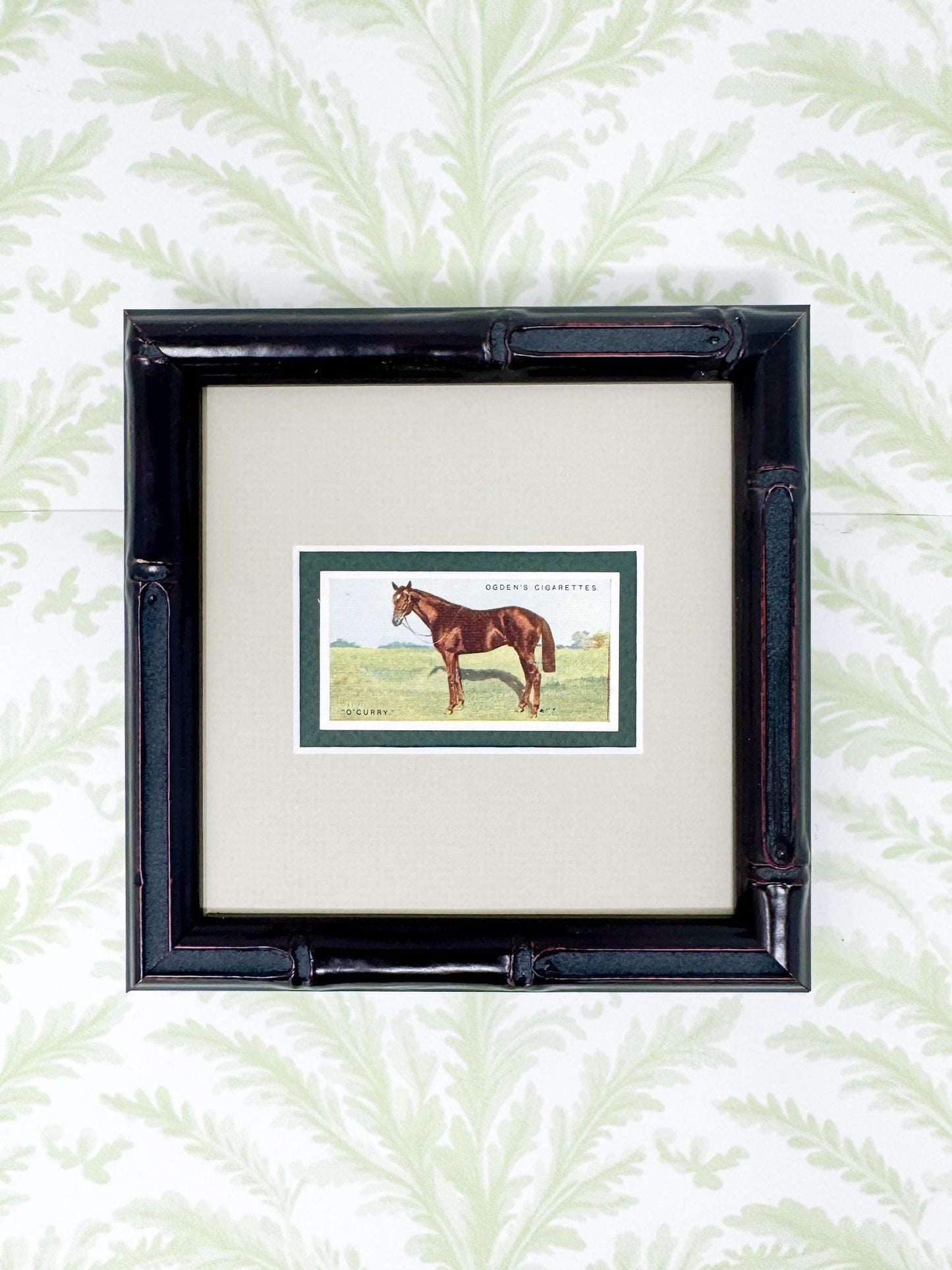 Framed Antique Race Horse Derby Cigarette Card c. 1928, O'Curry