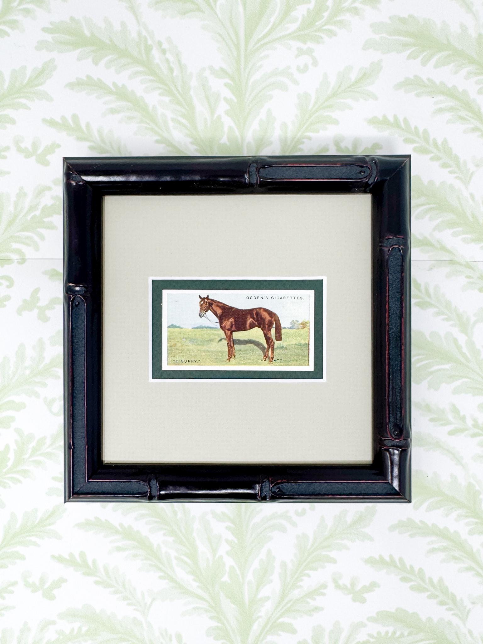 Framed Antique Race Horse Derby Cigarette Card c. 1928, O'Curry