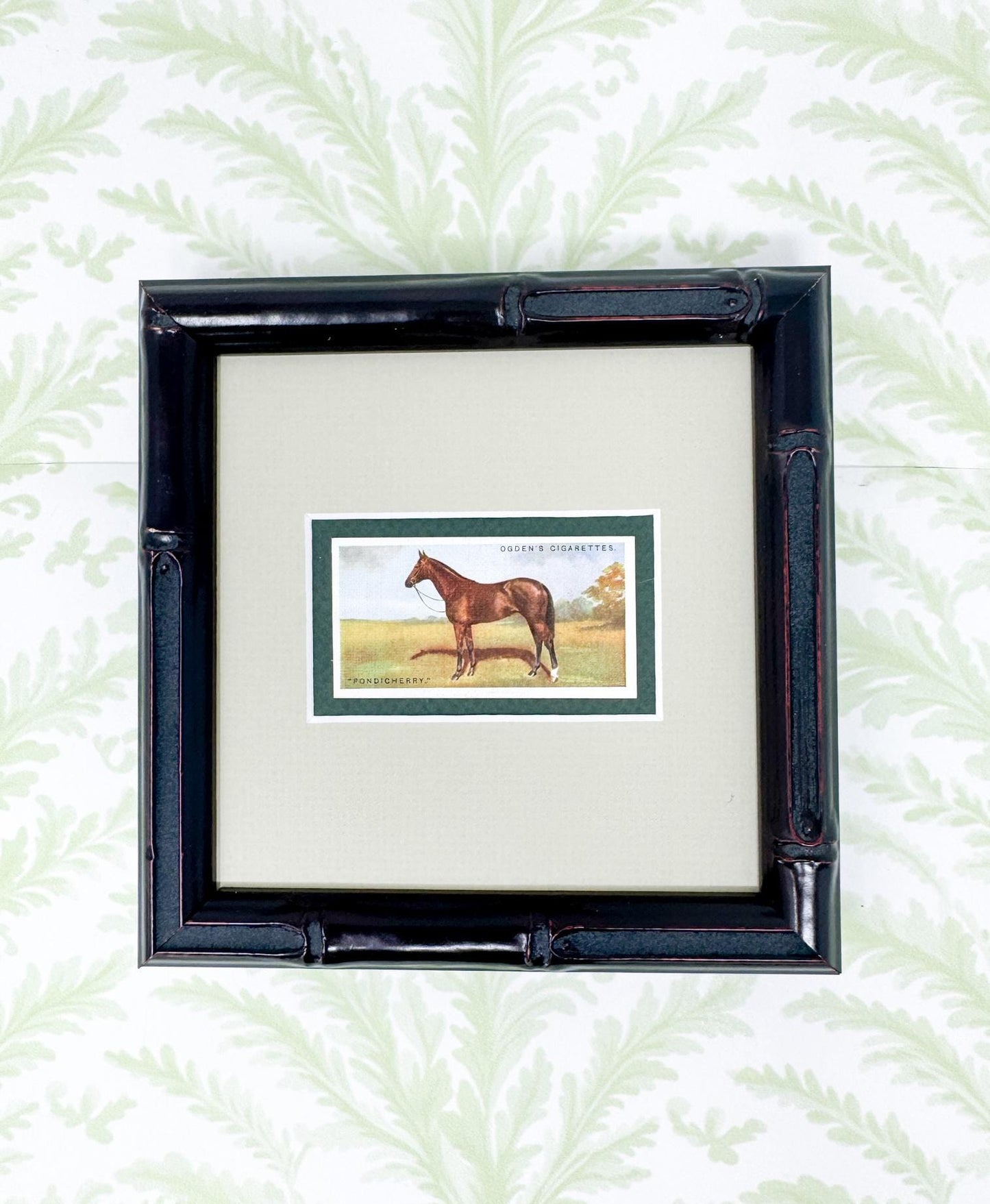 Framed Antique Race Horse Derby Cigarette Card c. 1928, Pondicherry