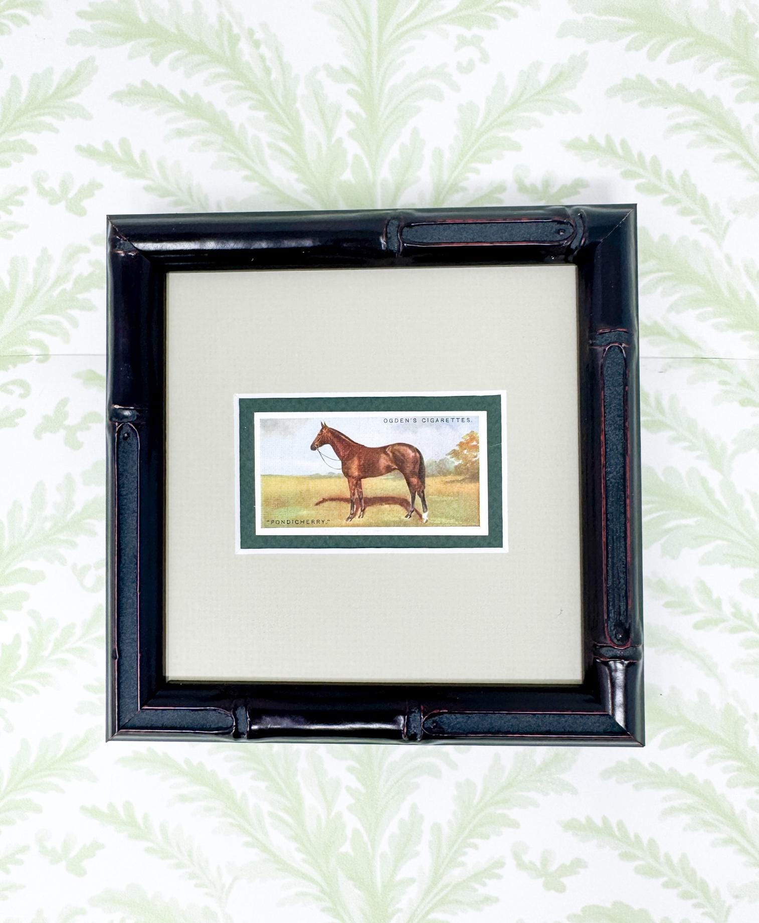 Framed Antique Race Horse Derby Cigarette Card c. 1928, Pondicherry